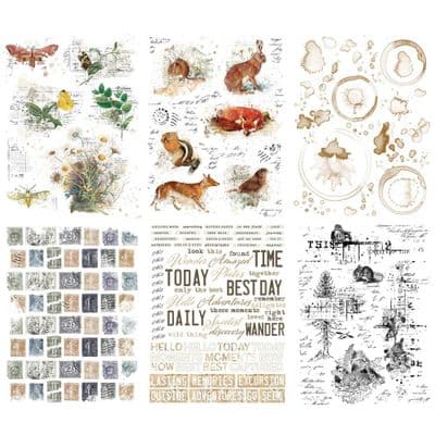 49 And Market Rub-Ons - Curators Meadow