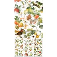 49 And Market Rub-Ons - Vintage Orchard Botanical