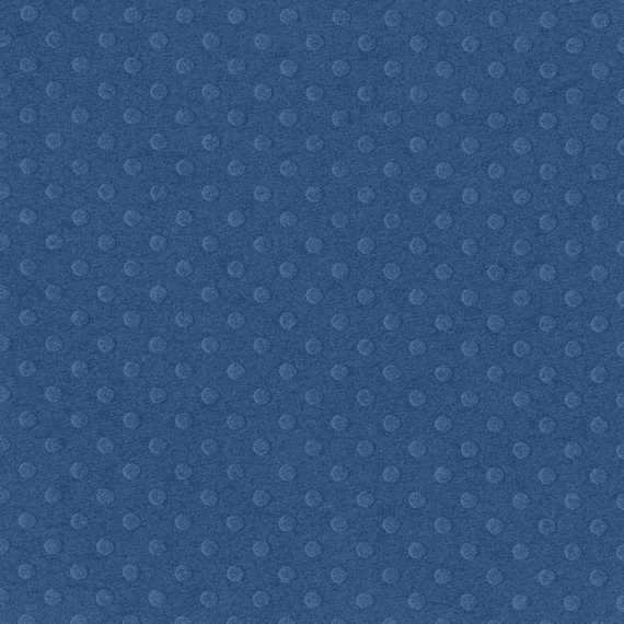 Bazzill Dotted Swiss 12x12 Cardstock - Night Water
