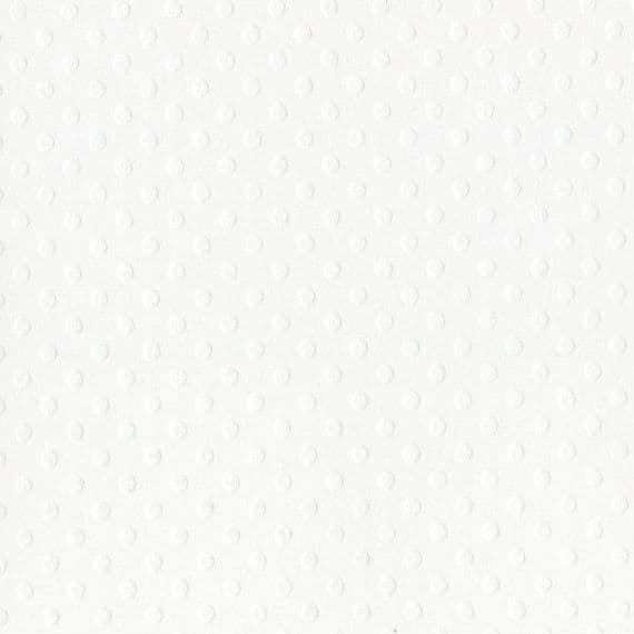 Bazzill Dotted Swiss 12x12 Cardstock - Salt