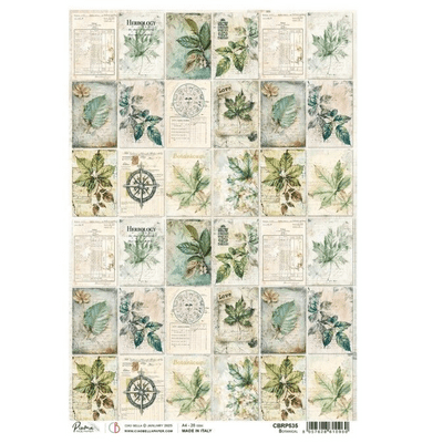 Ciao Bella Rice Paper Sheet A4 - Cabinet of Curiosities Botanical