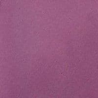 Cosmic Shimmer Sam Poole Botanical Stains - Hibiscus