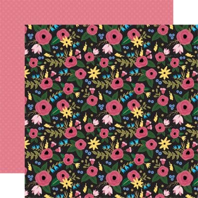 Echo Park - Alice in Wonderland - Dream Big 12x12 Cardstock