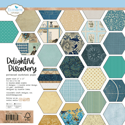 Elizabeth Craft 12x12 Paper Pack - Delightful Discovery