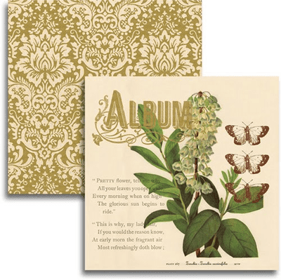 Jenni Bowlin Studio - 12x12 Paper - Haven - Album