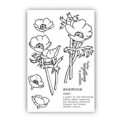 Julie Hickey Designs Stamp Set - Peter’s Anemones
