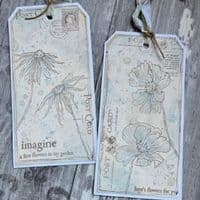 PaperArtsy Eclectica E³ Alison Bomber 49: Coneflowers Edition - EAB49 Mounted Rubber Stamp