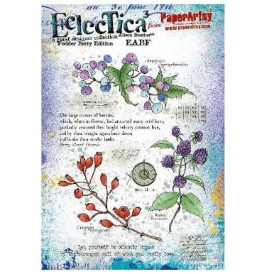 PaperArtsy Eclectica E³ Alison Bomber Fodder School Rubber Stamp Set - EABF