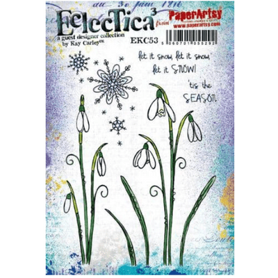 PaperArtsy Eclectica E³ Mounted Rubber Stamp Set - Kay Carley 53 - EKC53