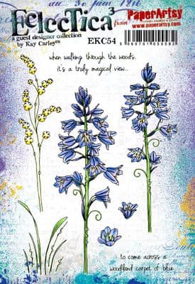 PaperArtsy Eclectica E³ Mounted Rubber Stamp Set - Kay Carley 54 - EKC54