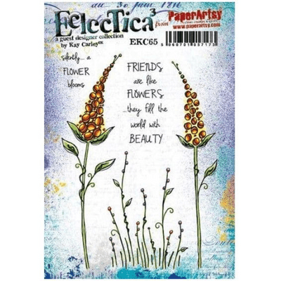 PaperArtsy Eclectica E³ Mounted Rubber Stamp Set - Kay Carley 65 - EKC65