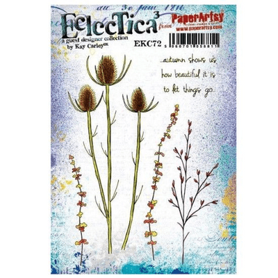 PaperArtsy Eclectica E³ Mounted Rubber Stamp Set - Kay Carley 72 - EKC72
