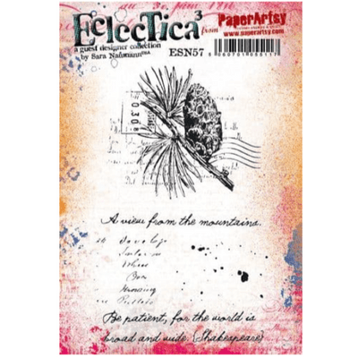 PaperArtsy Eclectica E³ Mounted Rubber Stamp Set - Sara Naumann 57 - ESN57