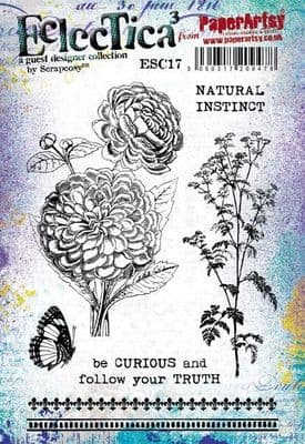 PaperArtsy Eclectica E³ Scrapcosy 17 Mounted Rubber Stamp Set - ESC17