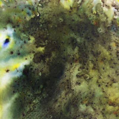 Paperartsy Infusions - Olive Tree - CS16