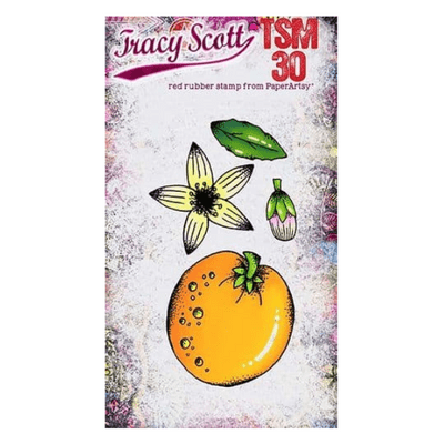 PaperArtsy Rubber Stamp - Tracy Scott Mini 30 - TSM30