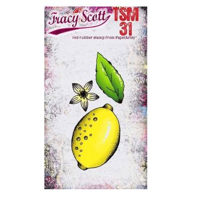 PaperArtsy Rubber Stamp - Tracy Scott Mini 31 - TSM31