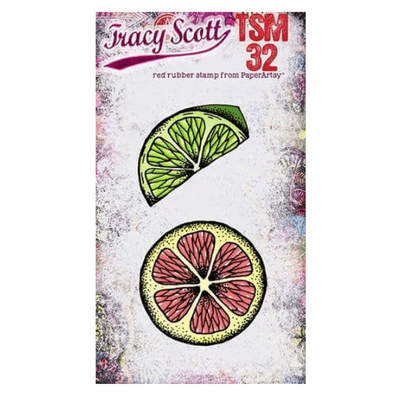 PaperArtsy Rubber Stamp - Tracy Scott Mini 32 - TSM32