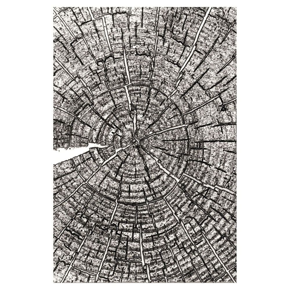 Sizzix Tim Holtz 3-D Texture Fades Embossing Folder - Tree Rings - 666049