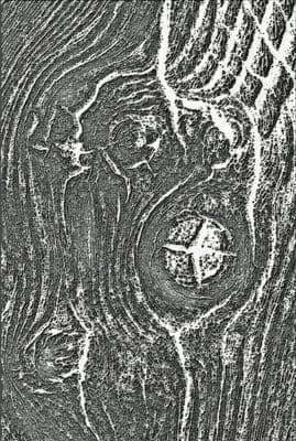 Sizzix Tim Holtz 3-D Texture Fades Embossing Folder - Woodgrain