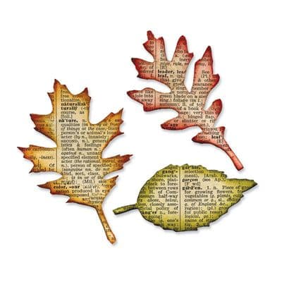 Sizzix Tim Holtz - Bigz Die - Tattered Leaves
