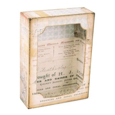 Sizzix Tim Holtz - Bigz XL Die w/ Framelits - Curio Box - 664419