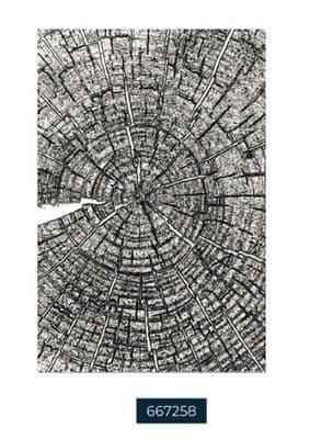 Sizzix Tim Holtz Texture Fades Embossing Folder A5 - Tree Rings