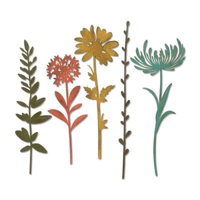 Sizzix Tim Holtz - Thinlits Die Set 5pk - Wildflower Stems #1 