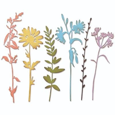 Sizzix Tim Holtz - Thinlits Die Set 6pk - Vault Wildflowers