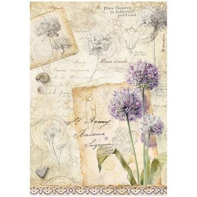 Stamperia A4 Rice Paper - All Around Allium