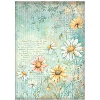 Stamperia A4 Rice Paper - Daisy Art - Daisies