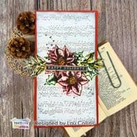 Text{ures} by Lou Collins Clear Stamp Set - Winter in Bloom Poinsettias and Greetings