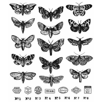 Tim Holtz Cling Mount Stamp Set - Moth Study
