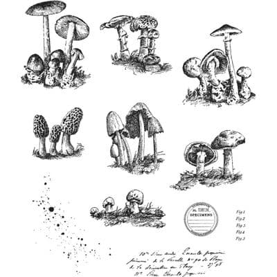 Tim Holtz Cling Mount Stamp Set - Tiny Toadstools