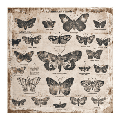 Tim Holtz® District Market - 12x12 Burlap Panel - Butterflies