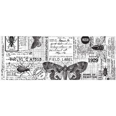 Tim Holtz® Idea-Ology™ - Collage Paper, Entomology