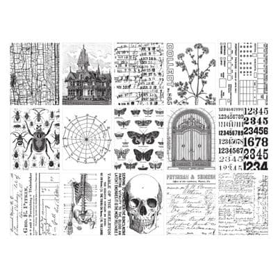 Tim Holtz® Idea-Ology™ - Collage Paper, Halloween 2024