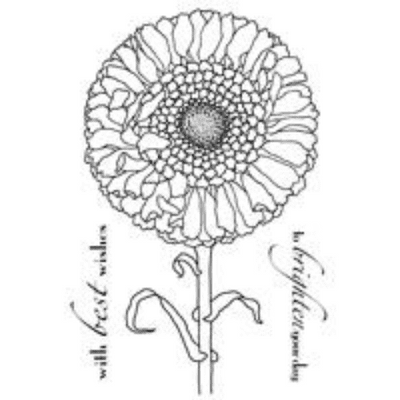 Woodware Clear Singles Stamp - Calendula Bloom ^
