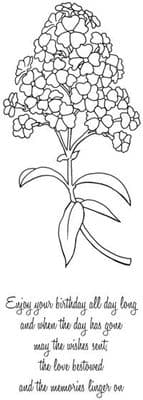 Woodware Clear Singles Stamp - Phlox