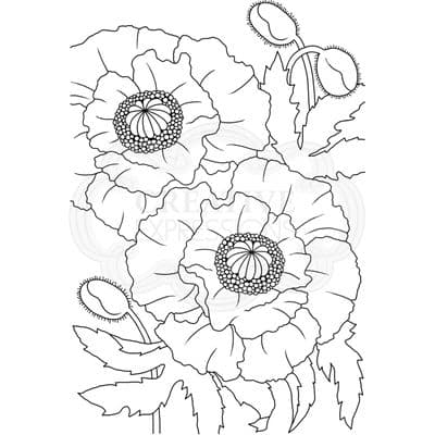 Woodware Clear Singles Stamp - Poppies ^