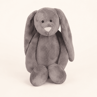 Biscuit the Bunny – Build Your Own Teddy Bear Kit