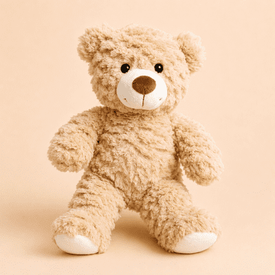 Brownie the Teddy Kit