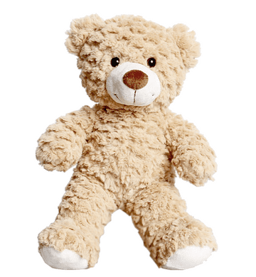 Brownie the Teddy Kit