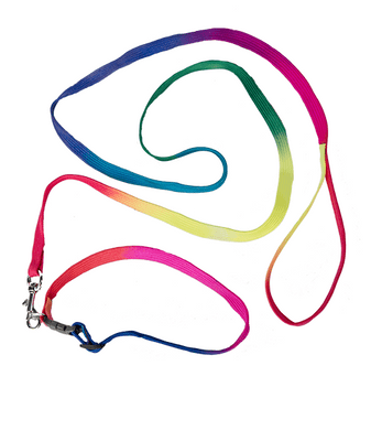 Dog Collar and Lead for 16