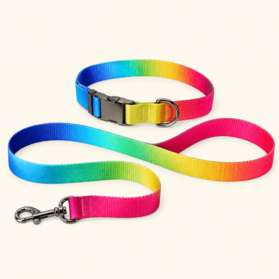 DOG COLLAR AND LEADS