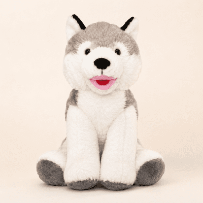 Husky Dog