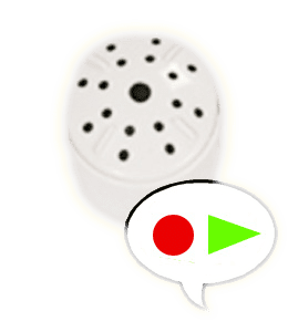 Sound Box - Recordable 20 Seconds