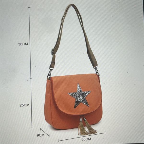 SALE: Sparkly star courier bag- various colours
