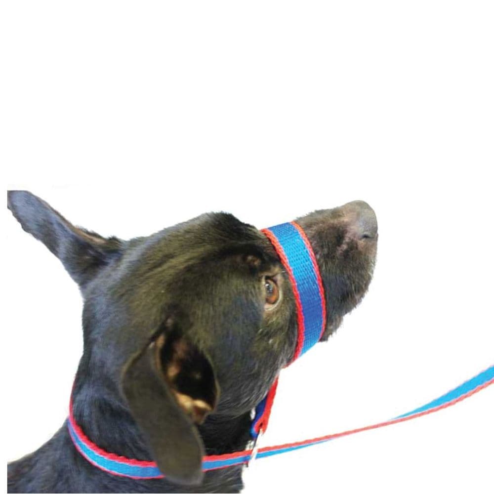 LUXWAY Figure Of Eight Lead 8