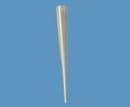 18G Luer Slip CT Tapered Tip CT18-1-1/2